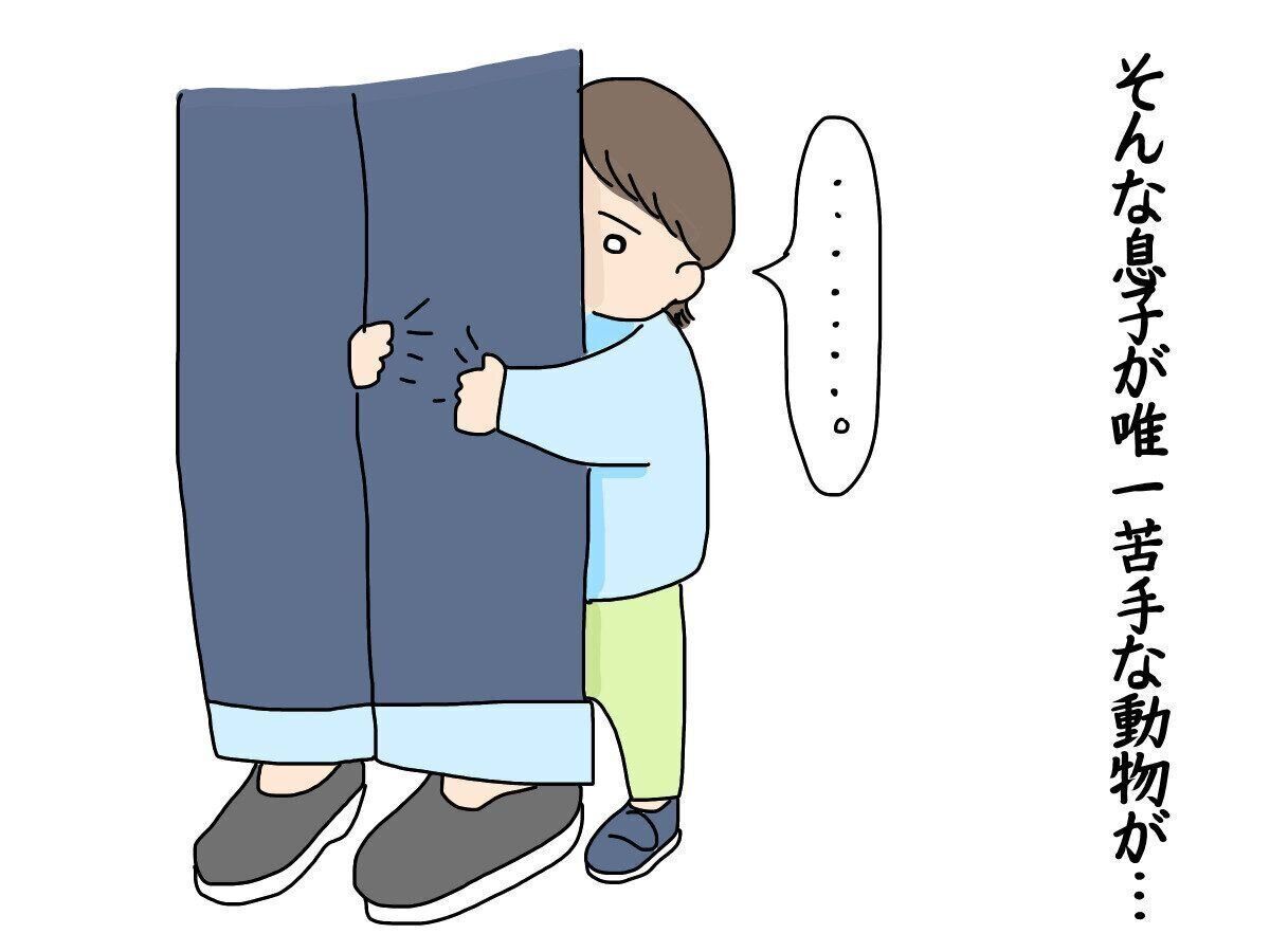 ヘビに睨まれたカエル【にくざんまいの赤ちゃん行動観察記#16】