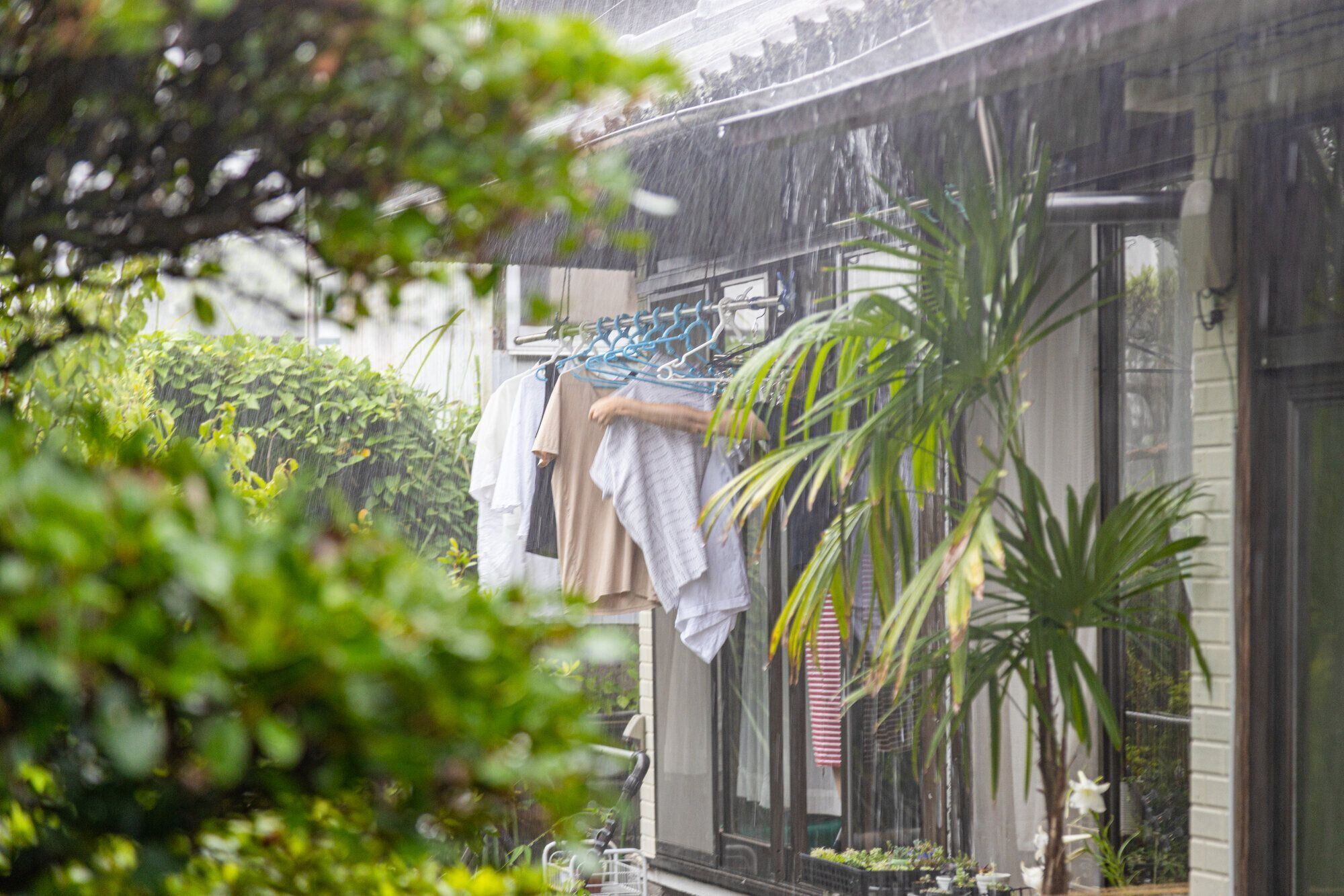 「お天気が怪しい…」そんな日は部屋干しする？外干しする？