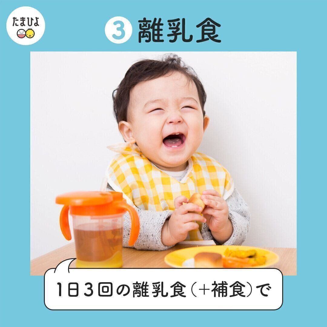 1日3回の離乳食(+補食)で栄養摂取を