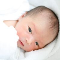 納豆 ポテトに猫も ママたちが体験した 赤ちゃんの匂い たまひよ 納豆 ポテトに猫も ママたちが体験した 赤ちゃんの匂い たまひよ