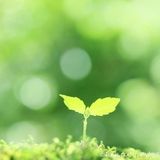 医師監修 不全流産の原因 症状について知りたい たまひよ