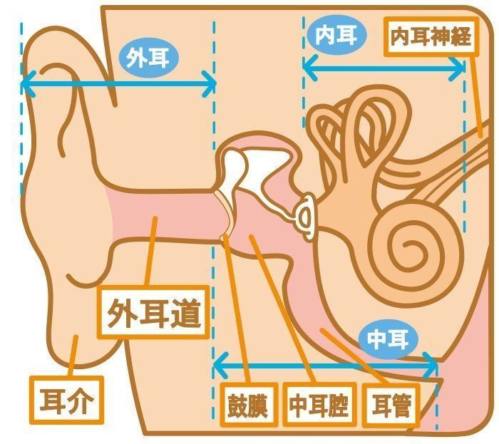 赤ちゃんの耳 鼻の病気 中耳炎の症状とケア 医師監修 たまひよ