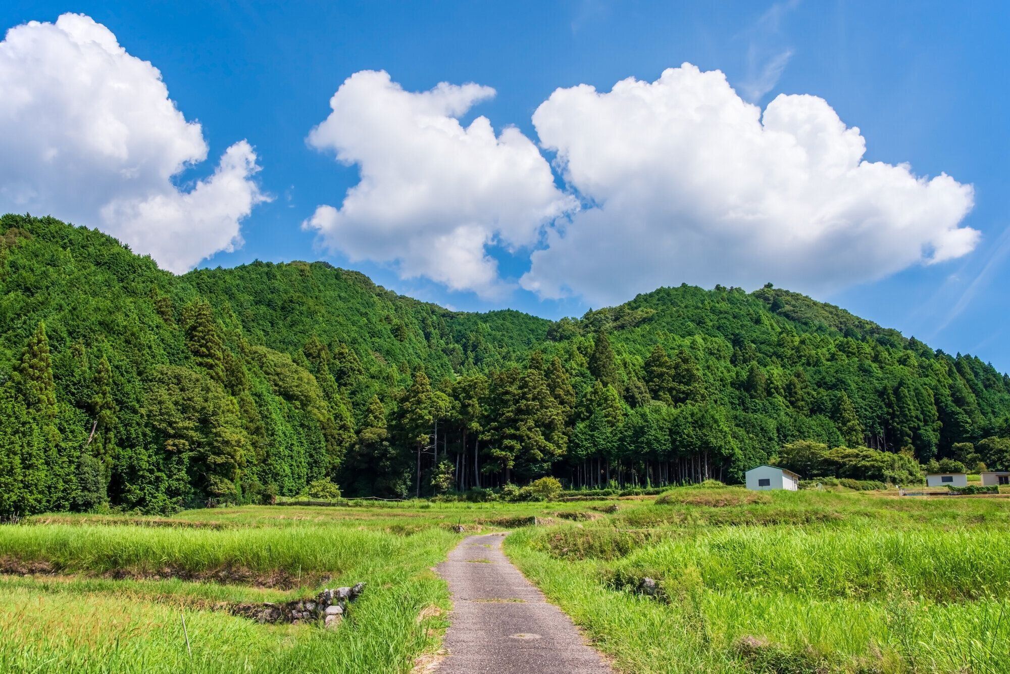 「田舎」VS「ド田舎」その違いとは!?