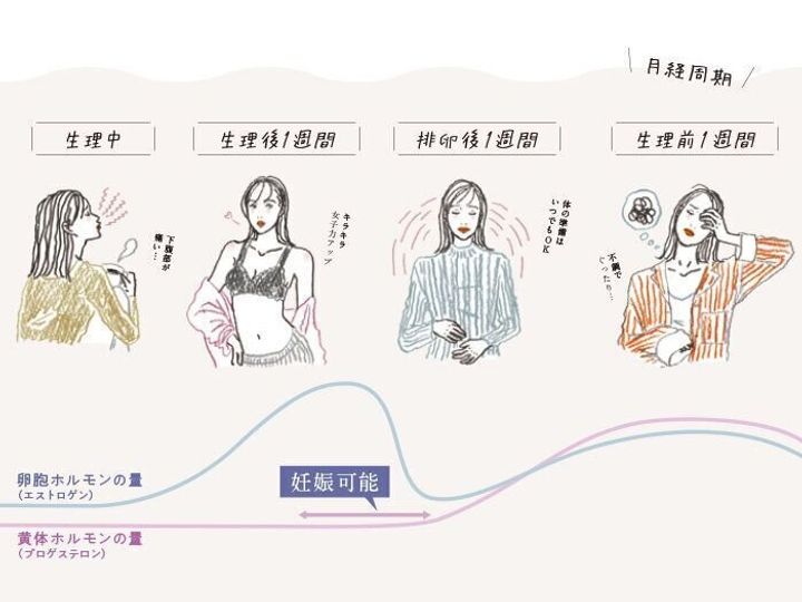 女性の体と心が変化する 生理 のバイオリズムを専門家に聞く たまひよの妊活 女性の体と心が変化する 生理 のバイオリズムを専門家に聞く たまひよの妊活