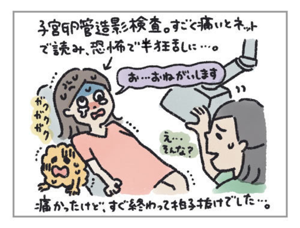 45yqmfrrewtxim 45yqmfrrewtxim