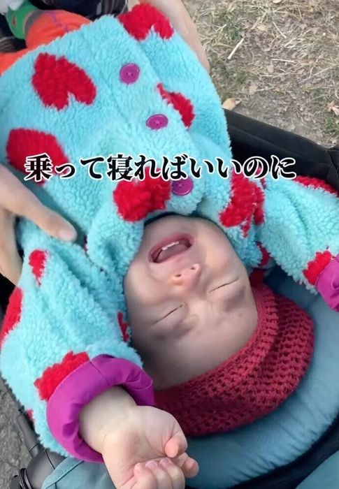 出典:Instagramアカウント「toco_jizochan」
