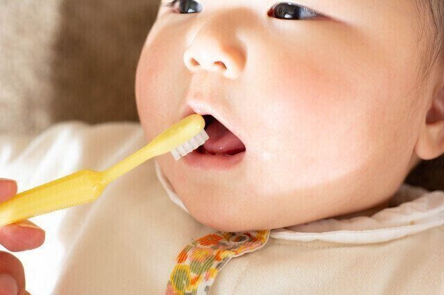 「歯ブラシの交換は月1回が目安」みんなのリアルな交換頻度は？