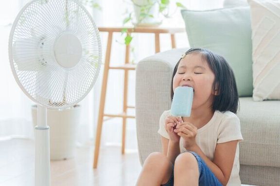 暑い季節にぴったり!「凍らせるとおいしくなるもの」