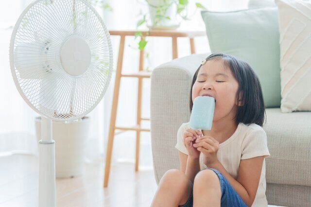 暑い季節にぴったり!「凍らせるとおいしくなるもの」