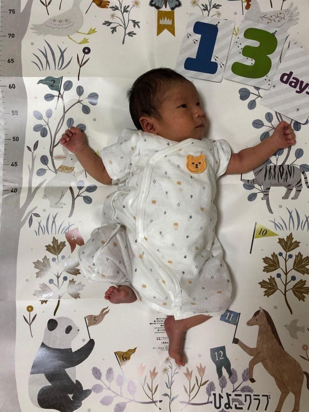 【エントリーNo.30】生後13日目！　Photo by KAHOさん