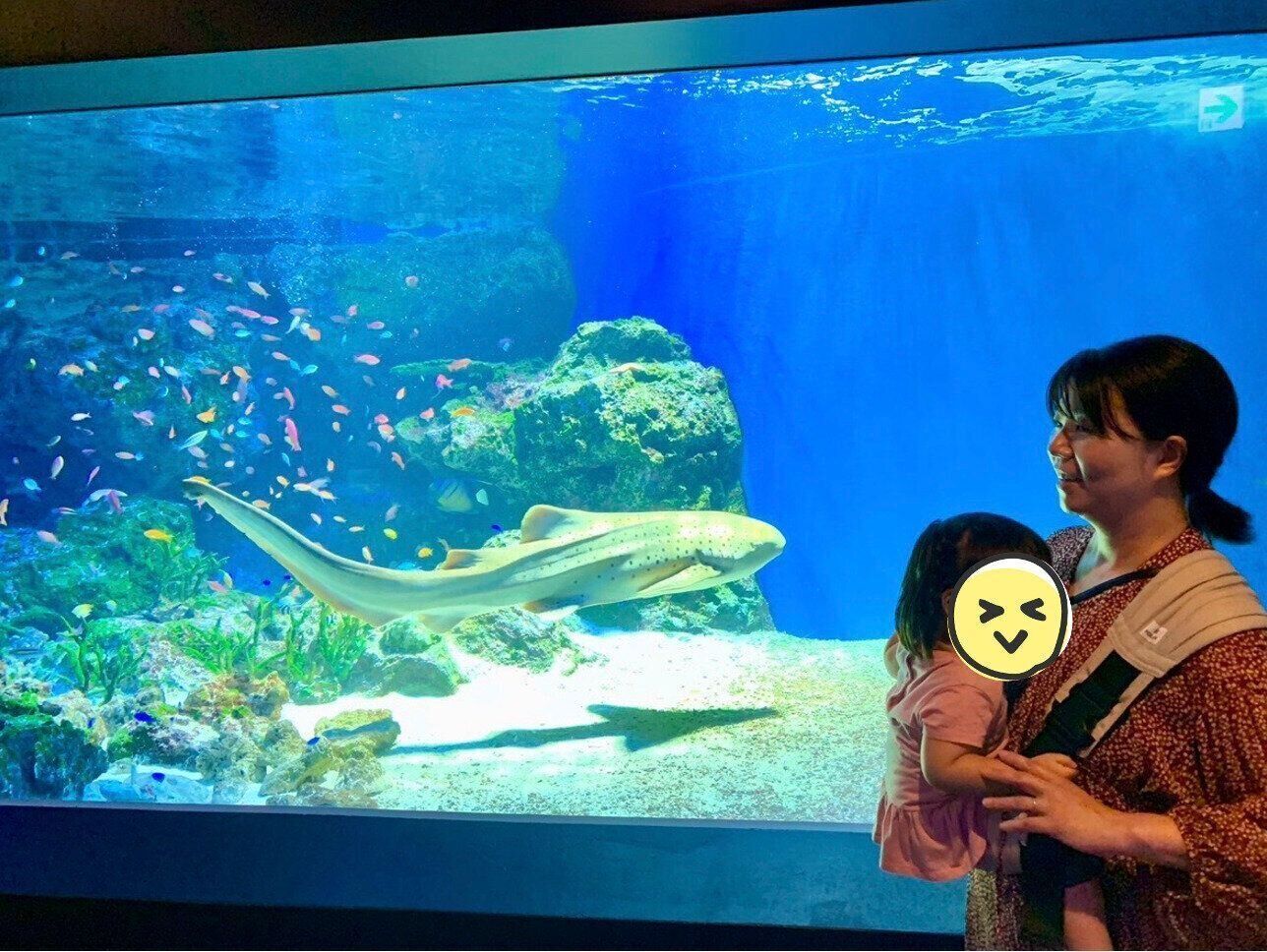 水族館にお出かけ中の、山﨑さんと娘さん。