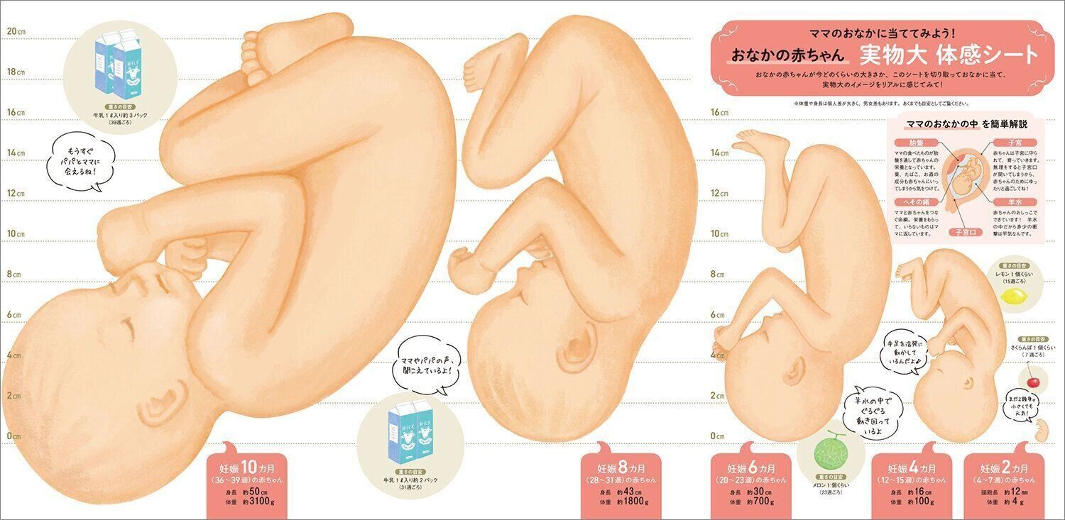 最新！ 妊娠・出産新百科
