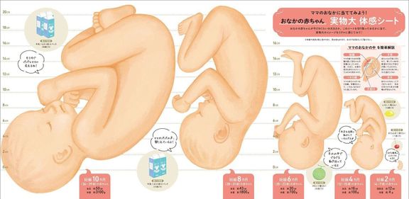 最新! 妊娠・出産新百科