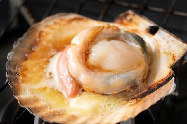 【医師監修】妊娠中にホタテ（加熱・生）は食べていい？それともダメ？
