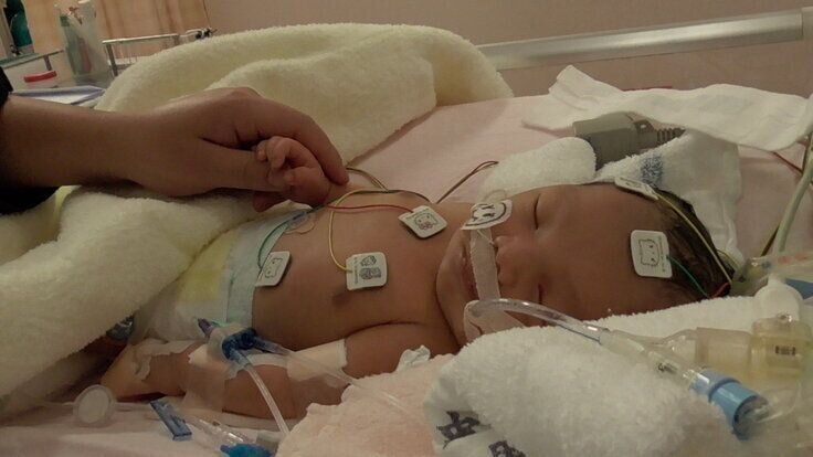 海成くんの写真