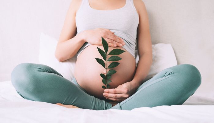 妊娠中の女性は、新しい生命、幸福、生殖能力、胎児の健康の象徴として、彼女の腹の近くに緑の芽植物を保持しています。