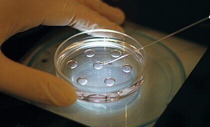 作業ごとに試験があり、合格するまで実際の作業を行うことはできない