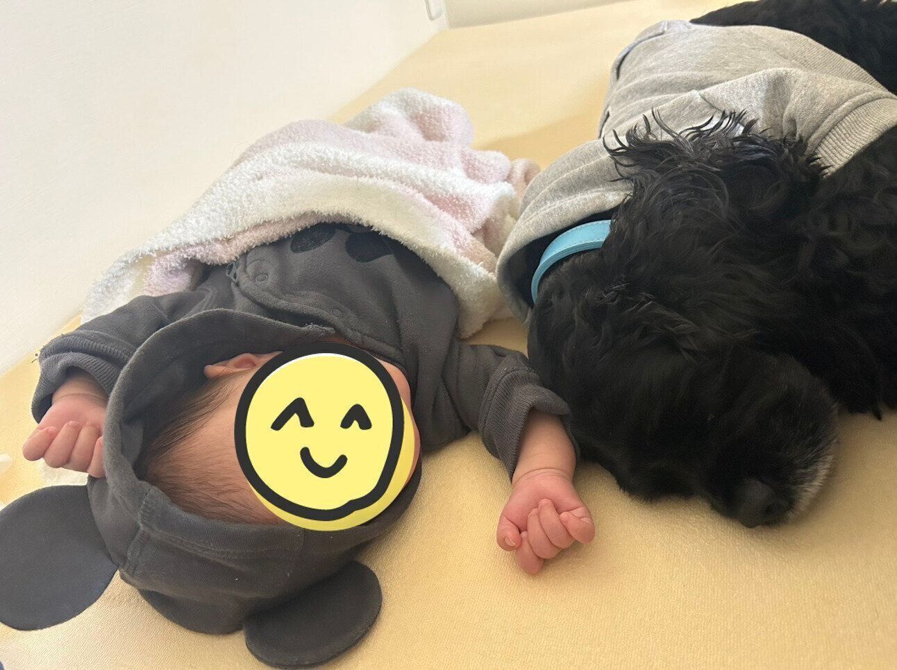 ワンちゃんといっしょにお昼寝中の娘さん。