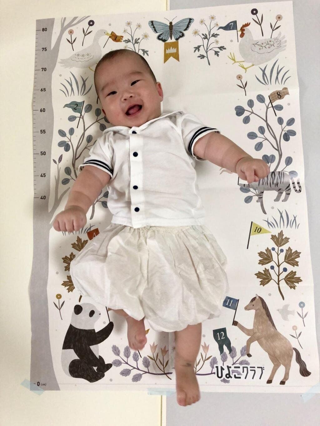 【エントリーNo.20】セーラー　Photo by トントンさん