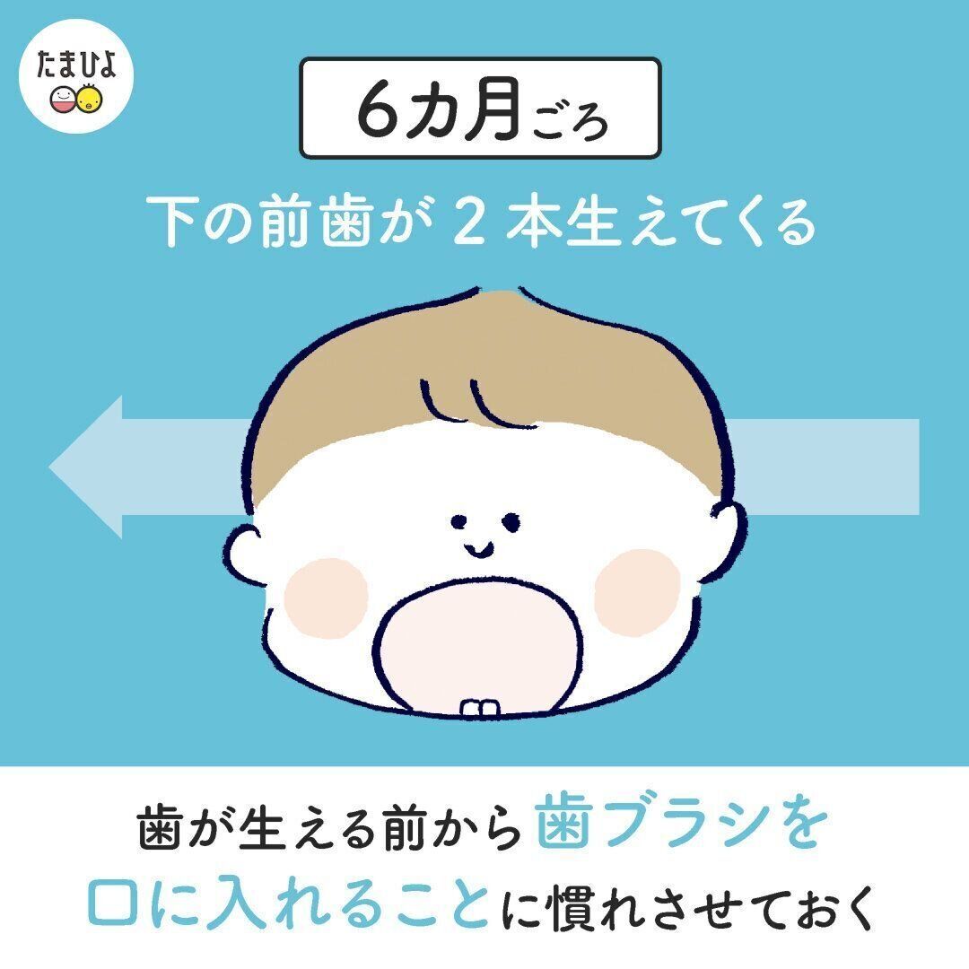 動画 0歳代からのケアが大事 わが子をむし歯にさせないために知っておきたいこと たまひよ
