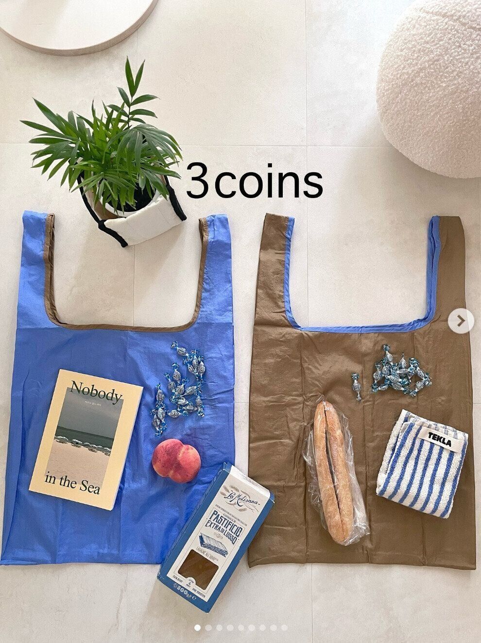 出典：Instagramアカウント「_kanon.___neko」