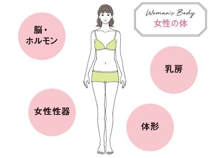 専門家に聞く妊活基礎知識 女性の体 や 女性性器 のこと知っていますか たまひよの妊活 専門家に聞く妊活基礎知識 女性の体 や 女性性器 のこと知っていますか たまひよの妊活