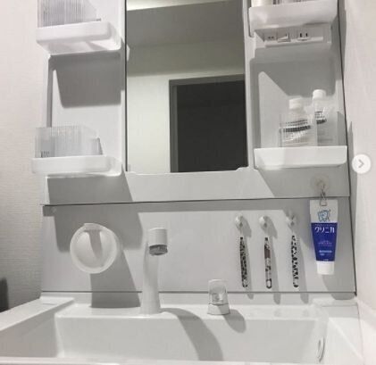 収納術 吊り下げるのが正解 キレイに見せる洗面台収納 たまひよ