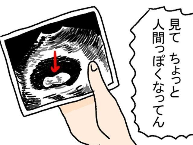 おたまちゃん様　ブルー　エコー　チャーリー おたまちゃん様 ブルー エコー チャーリー オーウェン ブルー