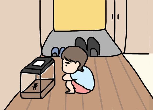 男の子のロマン。我が家にやってきた「夏」。後編【にくざんまいの赤ちゃん行動観察記#24】