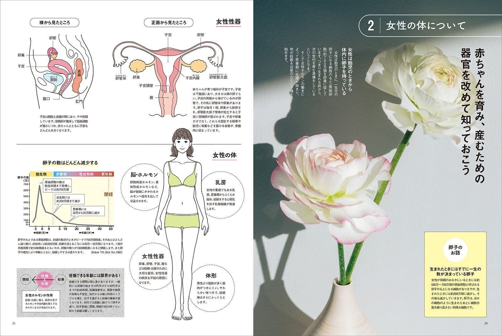 【巻頭大特集】妊娠するための“基礎知識”ガイド