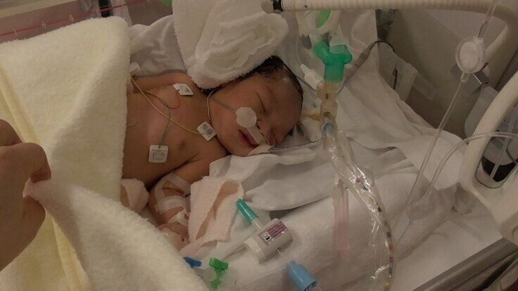 海成くんの写真