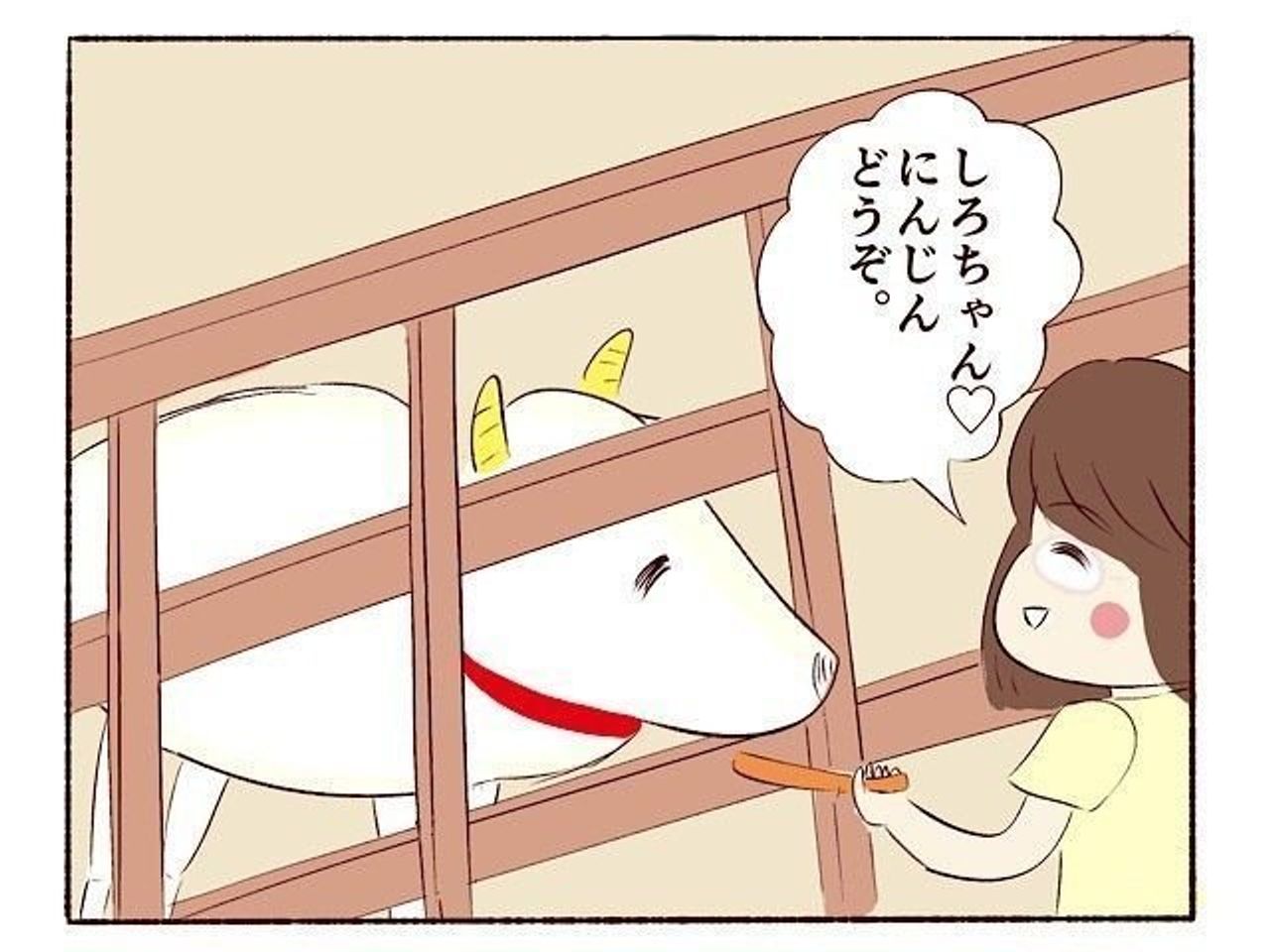 牧場の餌やり体験でヒヤヒヤ 子育てなめてました日記 59 たまひよ 牧場の餌やり体験でヒヤヒヤ 子育てなめてました日記 59 たまひよ