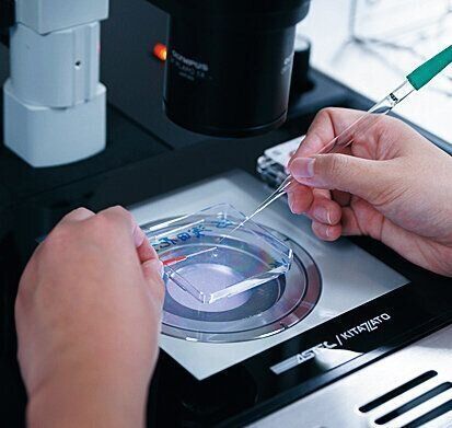 採取した卵子を体外受精用の培養液に移し、精子を加える体外受精の様子。