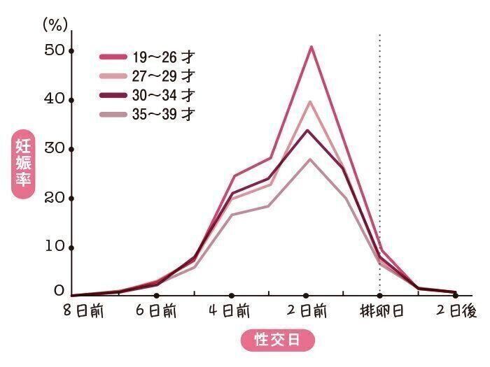 排卵とセックス、年齢別の妊娠率について