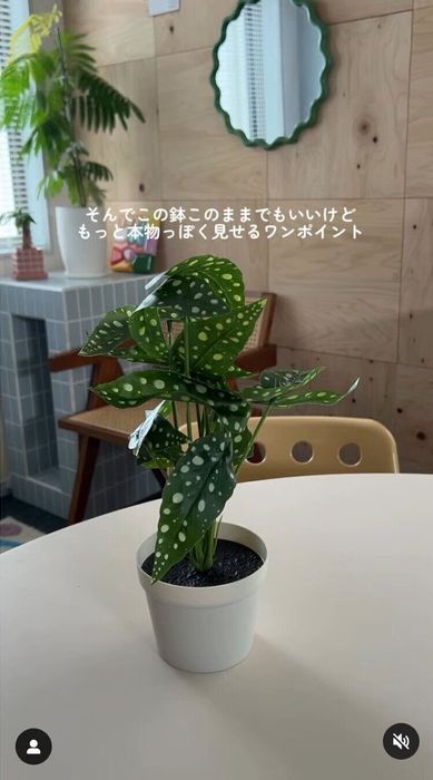 出典:Instagramアカウント「m_ouchi_account」