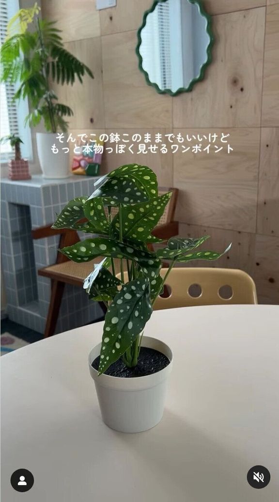 出典:Instagramアカウント「m_ouchi_account」