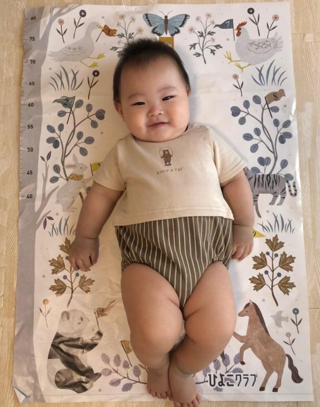 【エントリーNo.14】8ヶ月☆身長計ポスター　Photo by うめさん