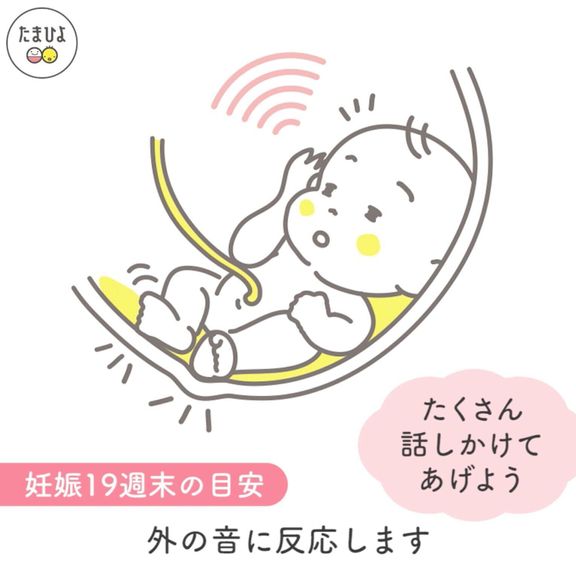 妊娠5ヶ月(16~19週)の赤ちゃん