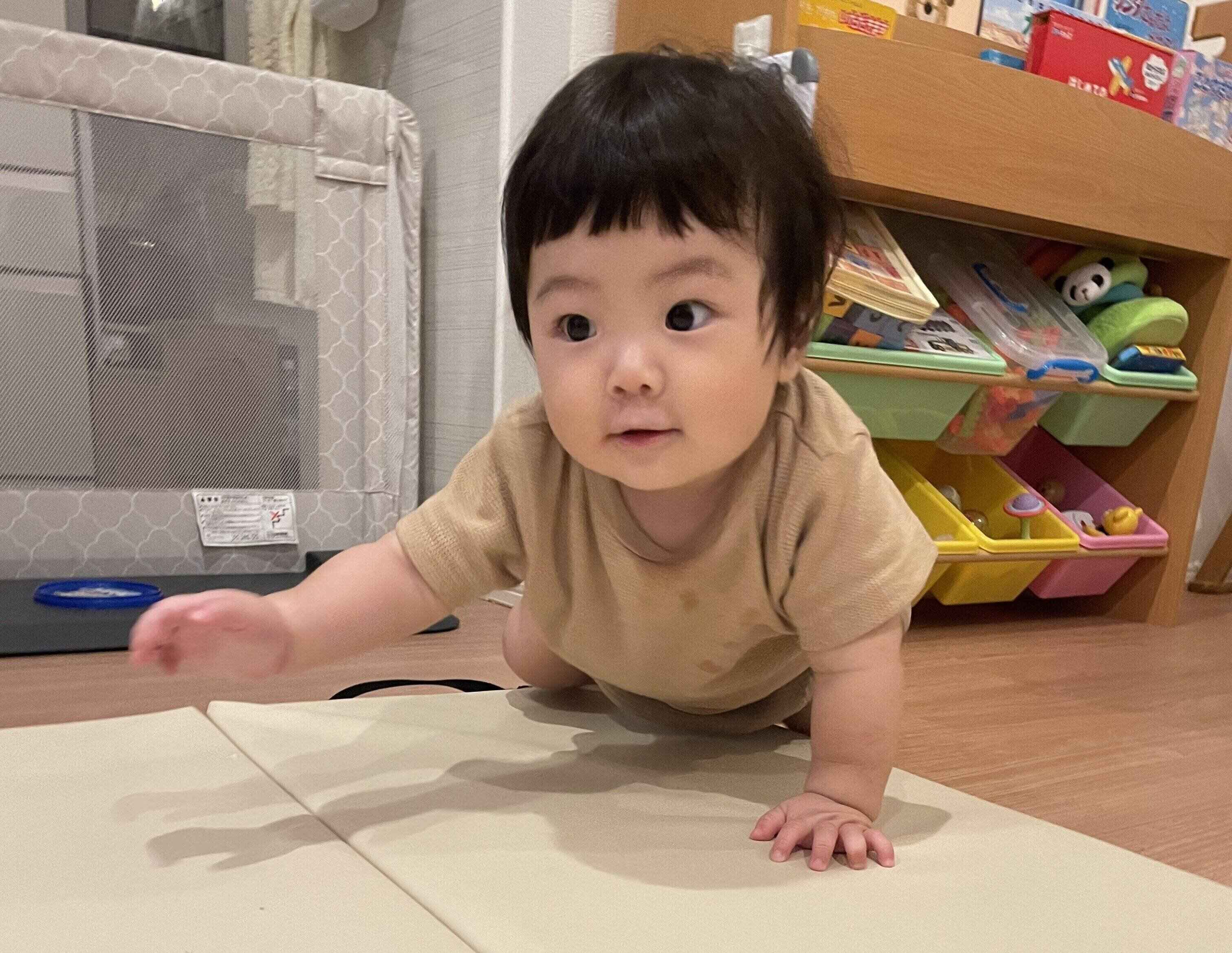 たまひよ成長日記 9カ月と5日ごろ 三井葵葉くんの成長の様子 発育 発達編 たまひよ