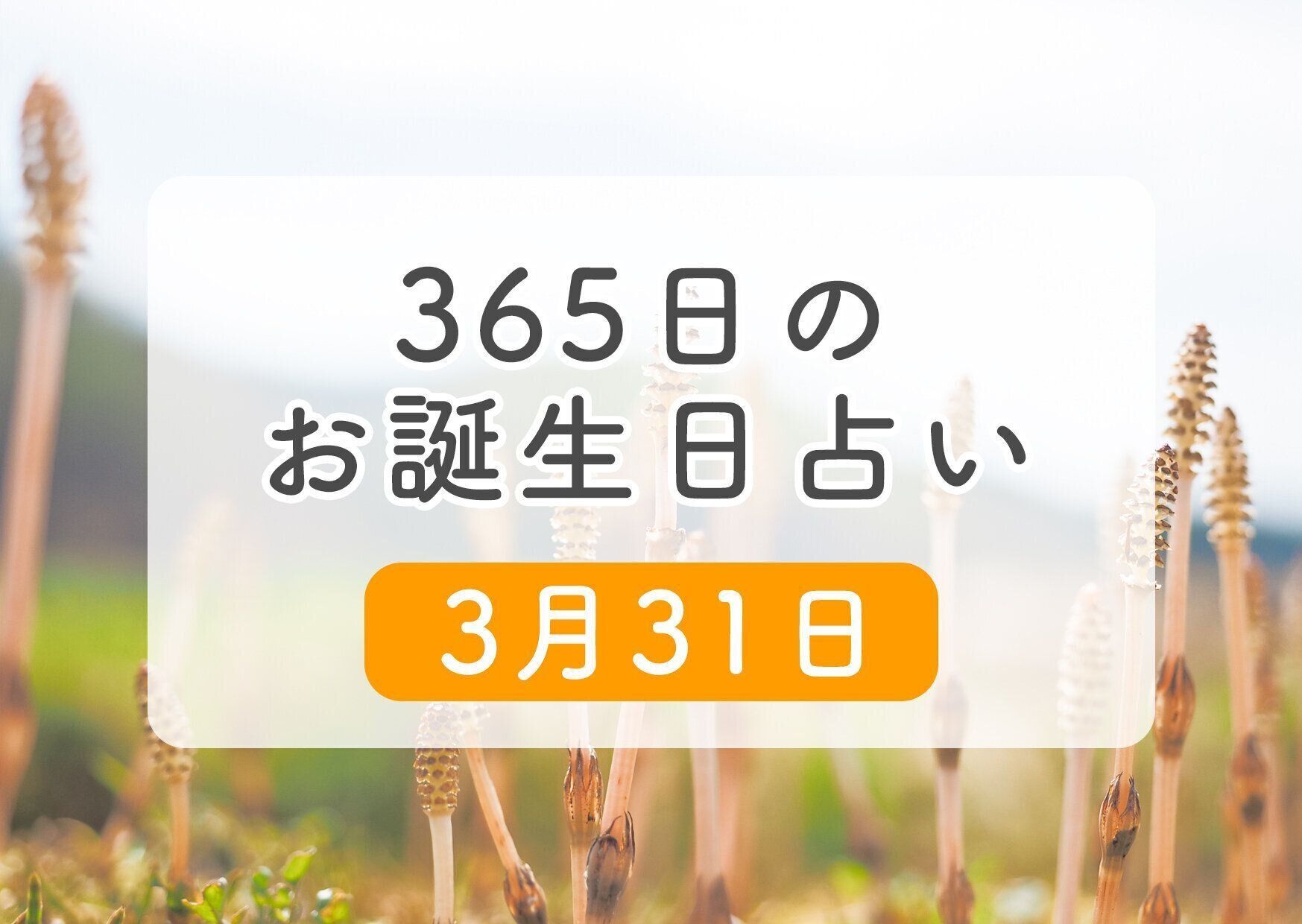 3月31日生まれはこんな人 365日のお誕生日占い 鏡リュウジ監修 たまひよ