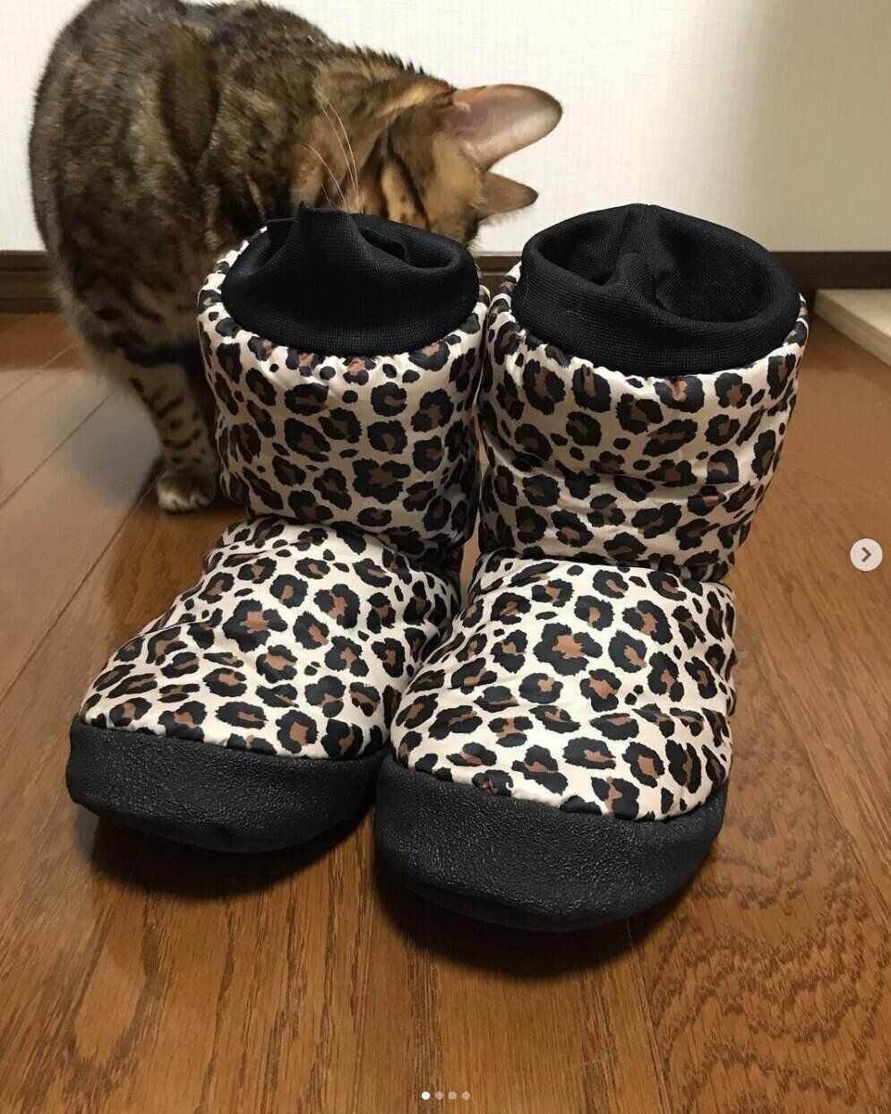 出典：Instagramアカウント「n.vivi_belle_sisters」