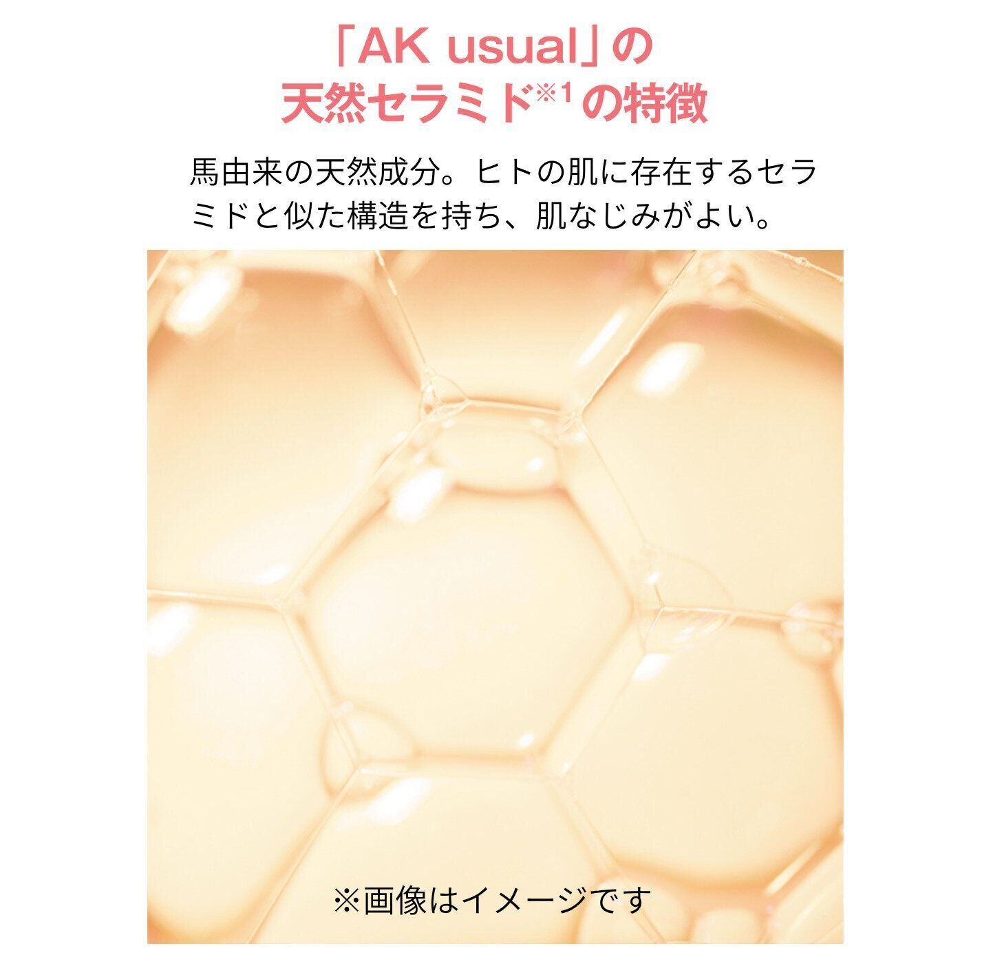 AK usualの天然セラミドの特徴