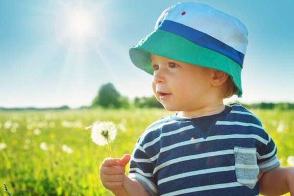 タンポポで視野に草の中に立っている男の子
