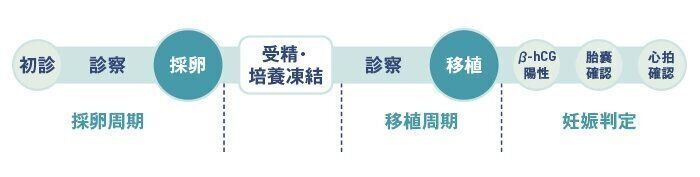 完全自然周期と低刺激周期では異なりますが、ここでは一般的な治療の流れを紹介します。