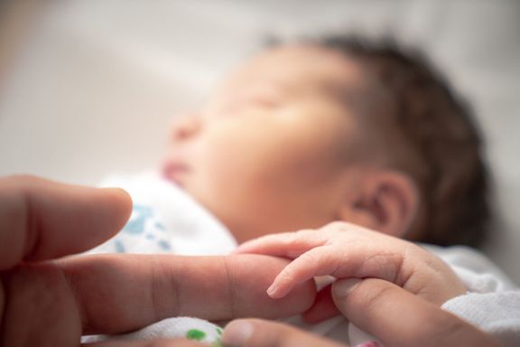 毛布の中の生まれたばかりの幼児の女の子は、彼女が安らかに眠っている間、彼女の父親と母親の指の周りに彼女の小さな手と指を包みます。