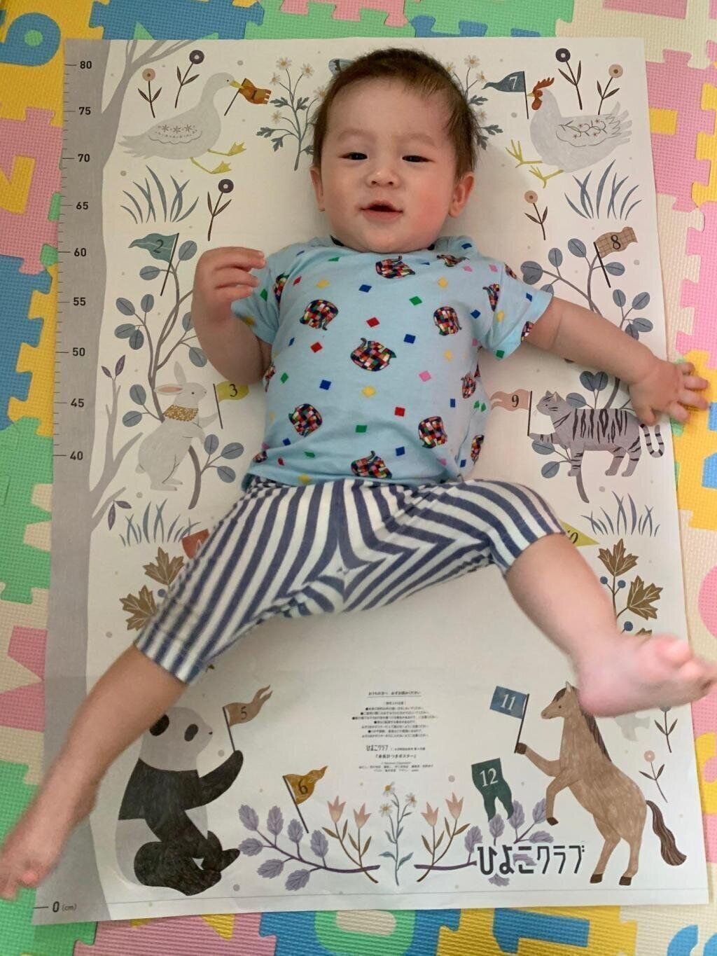 【エントリーNo.9】キックが得意な子 　Photo by Cherylさん