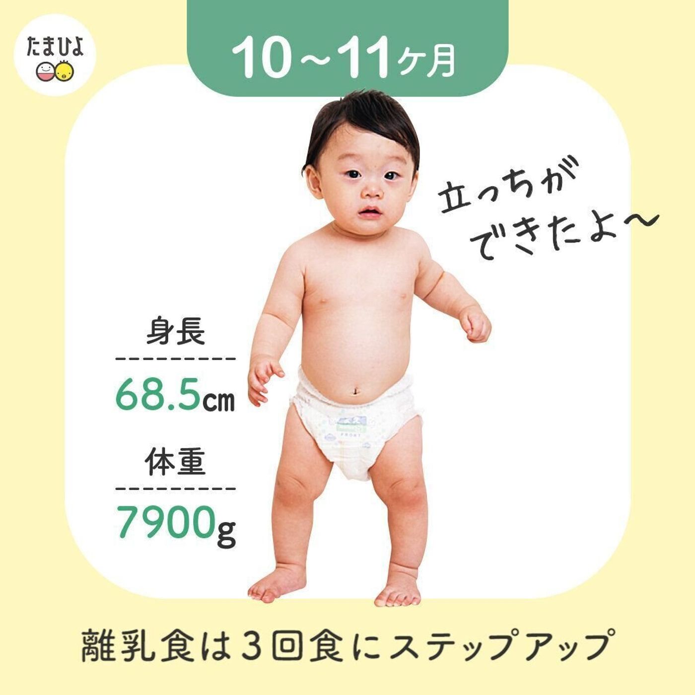 動画 生後 2歳でどんな風に成長するの すくすく成長日記 すばるくん編 たまひよ 動画 生後 2歳でどんな風に成長するの すくすく成長日記 すばるくん編 たまひよ