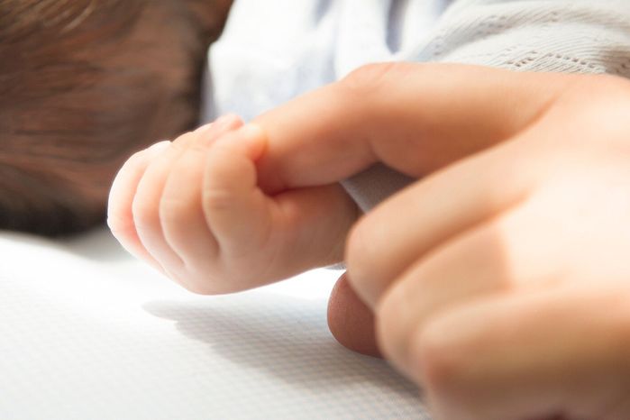 父親は子供の手を握っている。母と子の手。家族のコンセプト