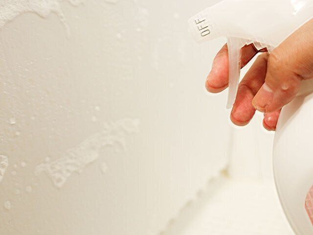 カインズ　防カビ・除菌　お風呂の洗剤