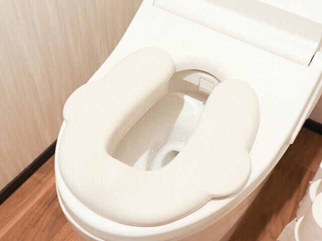 100均　3COINS トイトレ グッズ